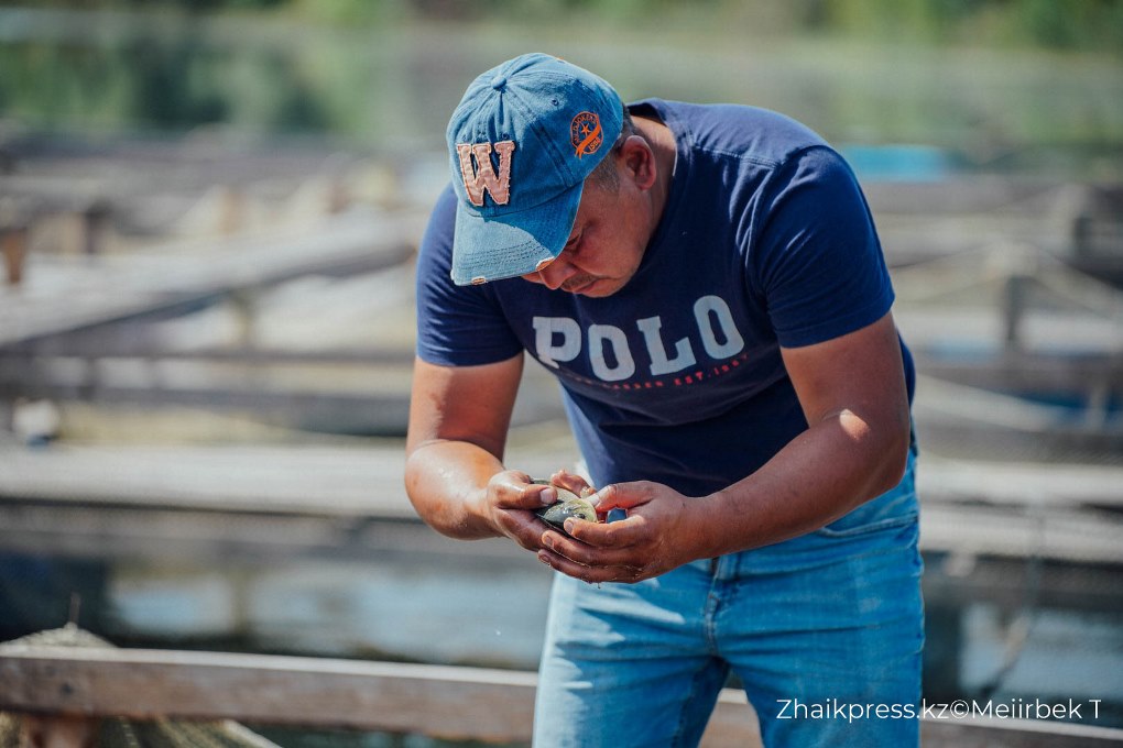 жп qazaq village (4)