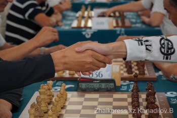 жп шахмат (8)