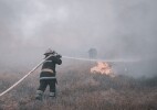 Жителям ЗКО рекомендуют соблюдать введенные ограничения и временно отказаться от посещения лесов