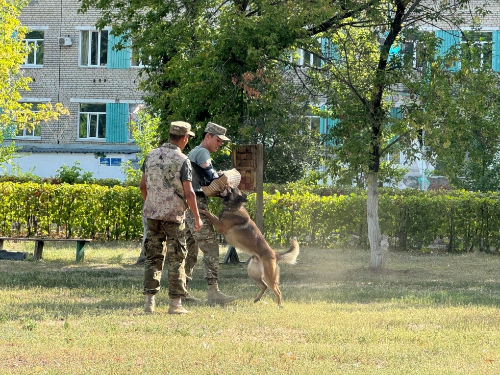 23c6eda5-de52-48c9-ab9a-6fef30ff0243