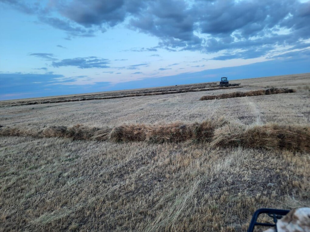 357c695c-fd48-4886-a775-98c13d9c1f68