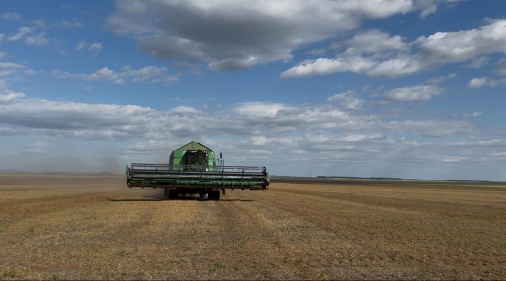 35f80090-fb40-40a3-994b-59b4c07d71d5