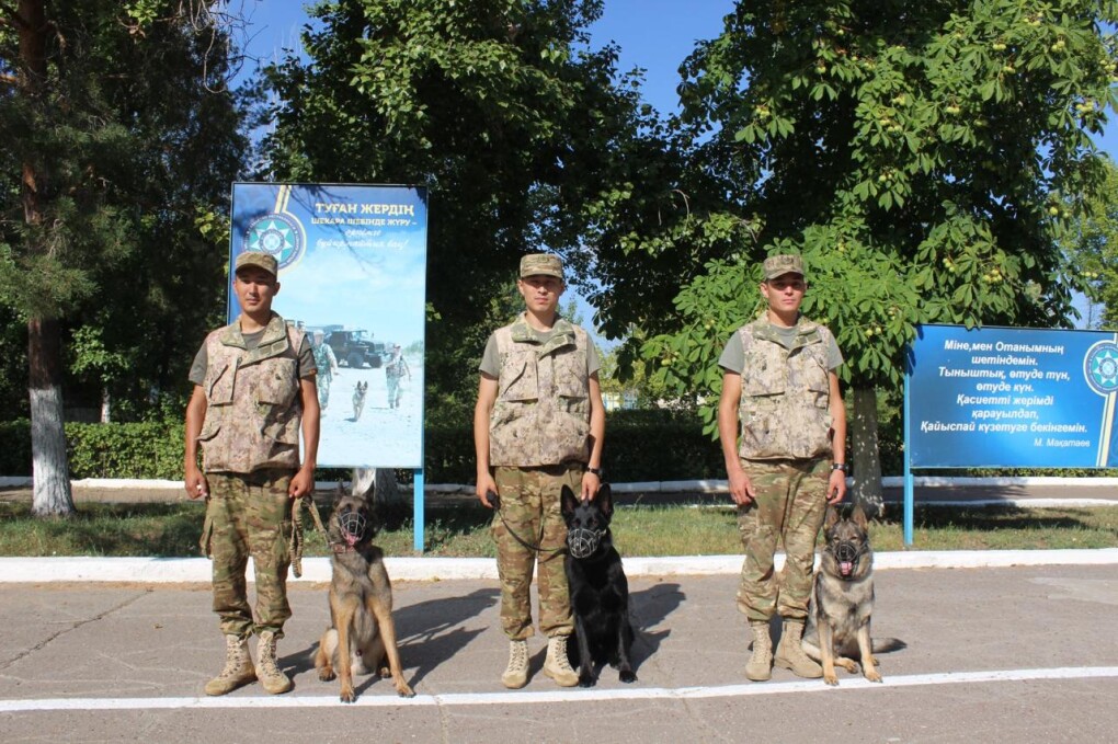 4bf9c490-2e72-491a-951a-d101da85ecc7