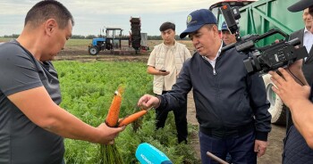 538904273_18543319609028162_6019894424166805420_n