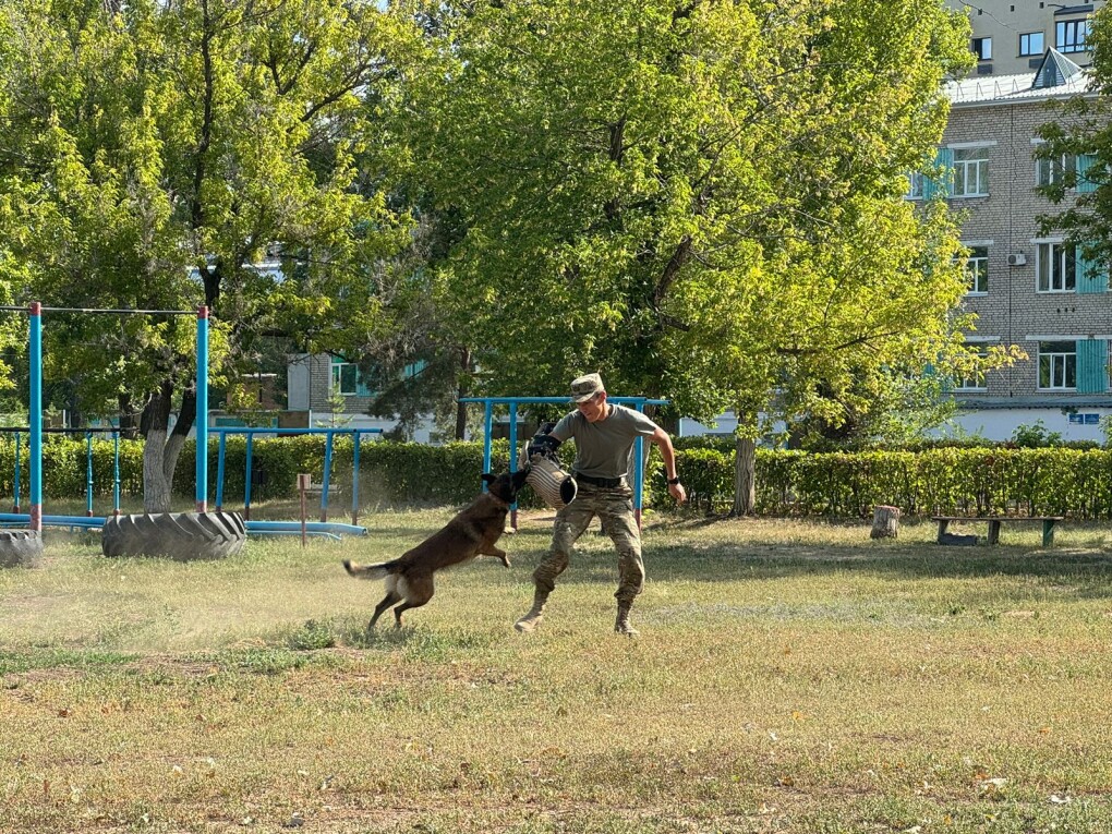 95a805d8-cfe1-495b-b3e0-70d2ad9a8a7e