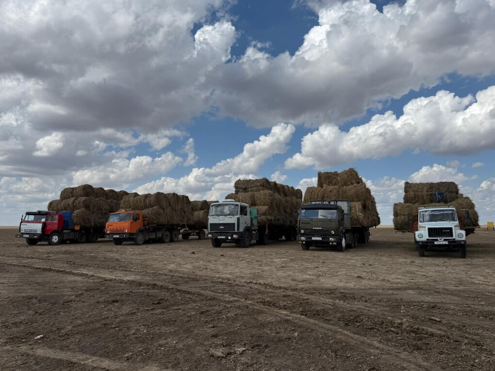 FB_IMG_1755139123645