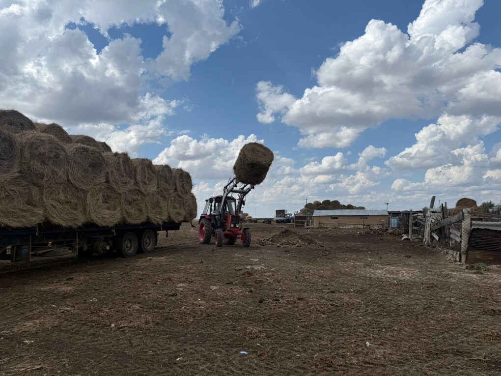 FB_IMG_1755139126018