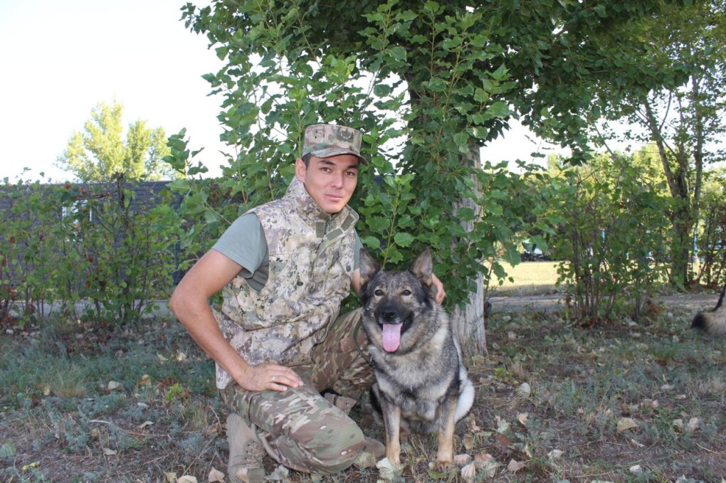 Мержан Тілес