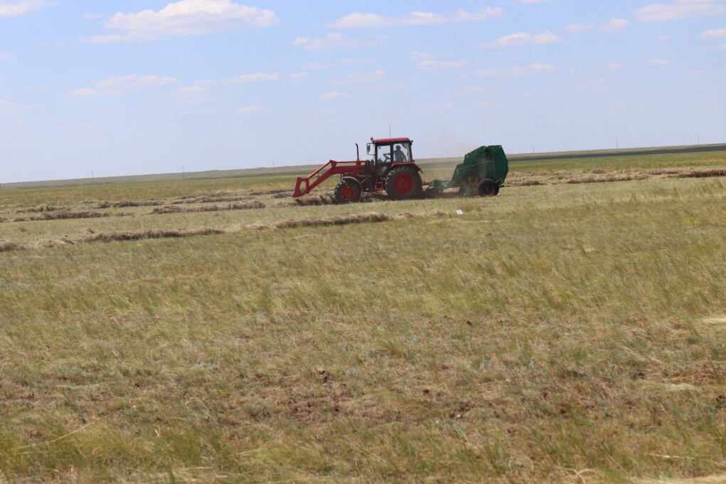 WhatsApp Image 2025-07-22 at 17.57.10