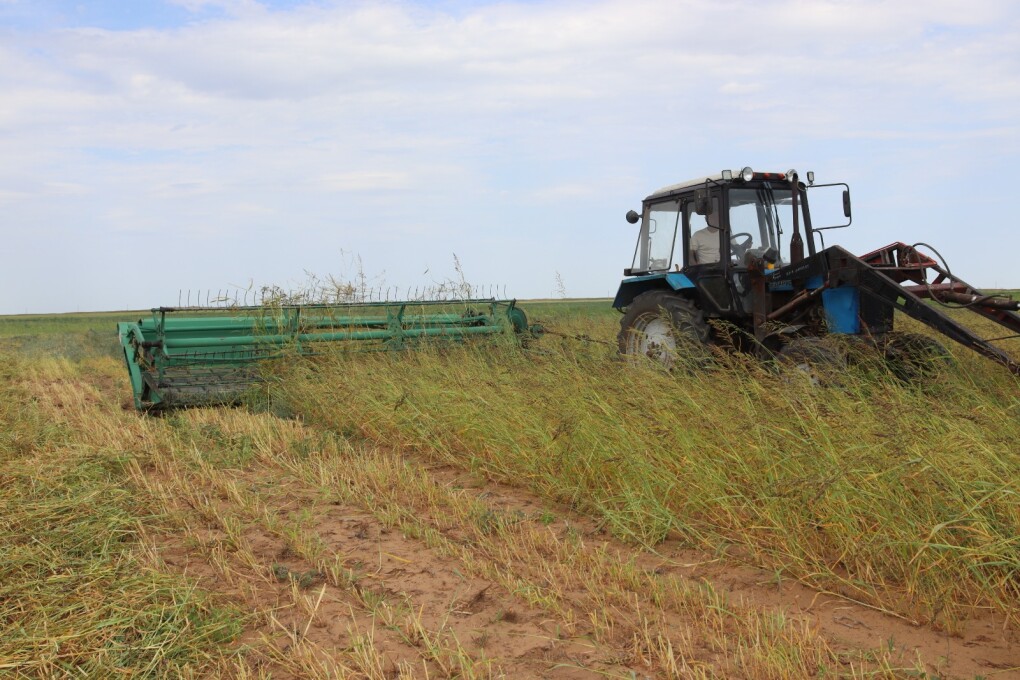 WhatsApp Image 2025-07-22 at 17.57.12