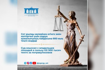 WhatsApp Image 2025-08-01 at 10.56.36