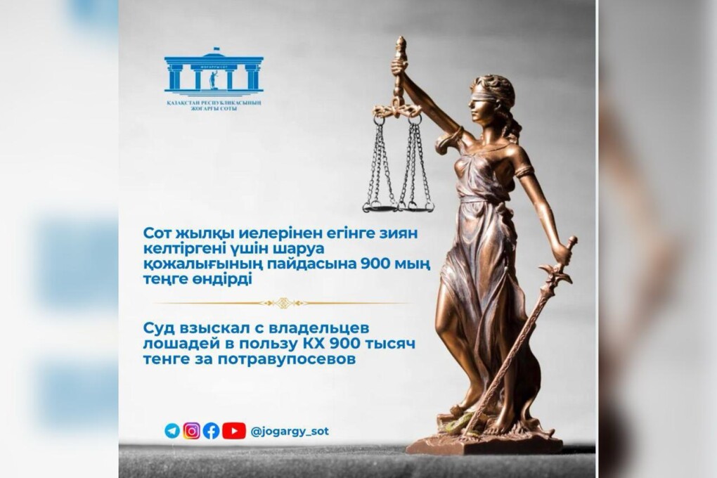 WhatsApp Image 2025-08-01 at 10.56.36