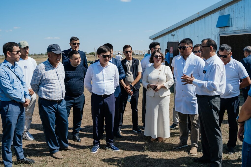 WhatsApp Image 2025-08-01 at 14.54.25