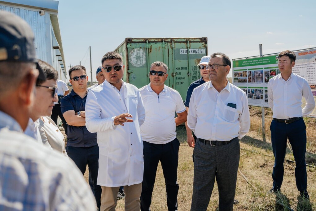 WhatsApp Image 2025-08-04 at 12.33.21