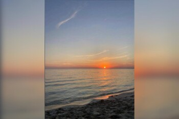 WhatsApp Image 2025-08-05 at 16.34.49