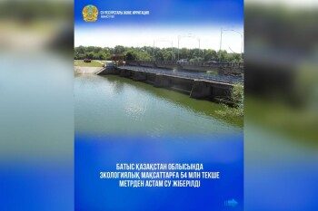 WhatsApp Image 2025-08-08 at 10.43.55