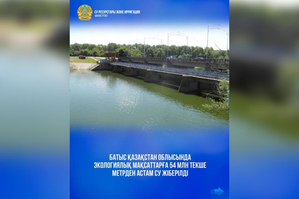 WhatsApp Image 2025-08-08 at 10.43.55