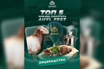 WhatsApp Image 2025-08-13 at 13.05.49