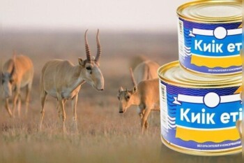 WhatsApp Image 2025-08-26 at 17.04.06