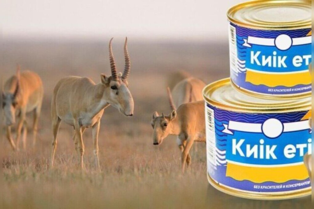 Жалаңаш сұлуды көріп, бірден келдім.