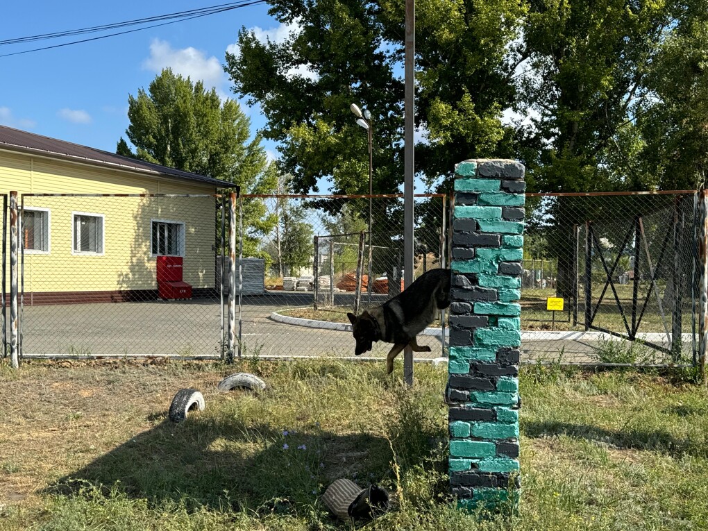 a68b32f5-edf8-4677-af78-642b314c65a5