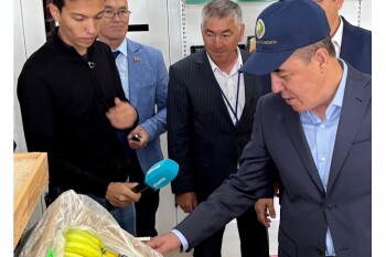 аким - шынгырлауский район (4)