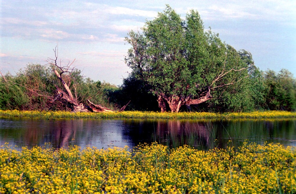 ауданның табиғаты (12)