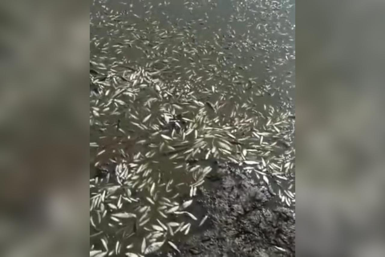 c2677279-464f-49d0-8282-53122d8cf04e