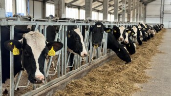 _gluster_2025_5_26_d48f96f3b87b928689ef515c6fa643c6_1280x720