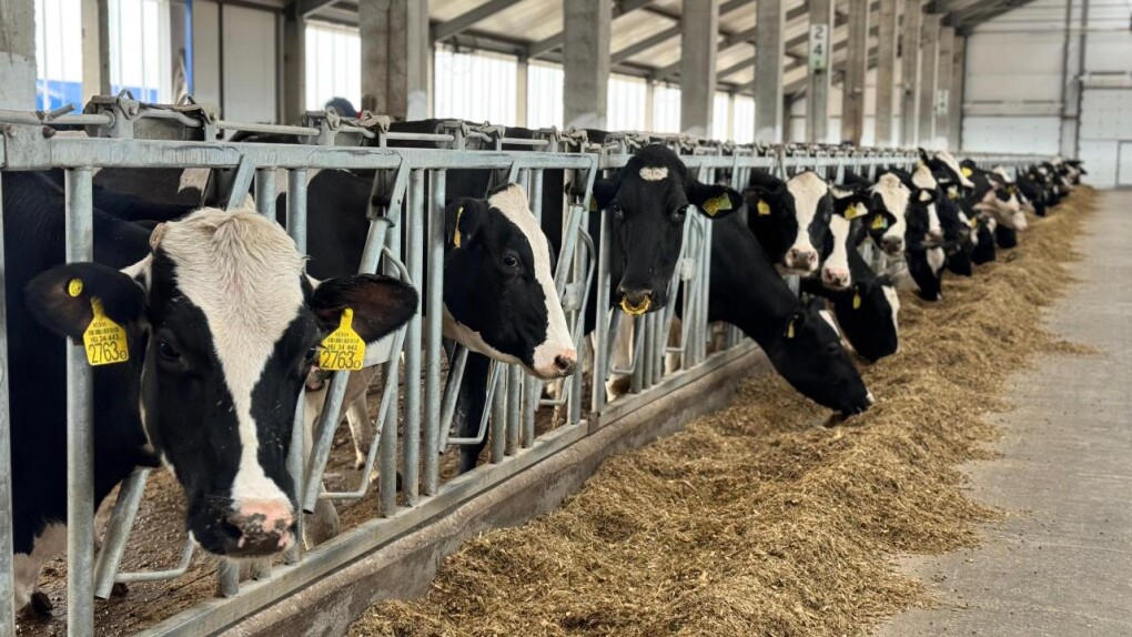 _gluster_2025_5_26_d48f96f3b87b928689ef515c6fa643c6_1280x720