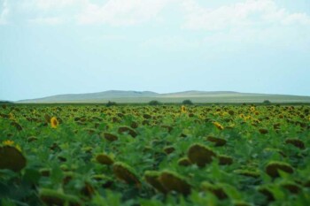 _gluster_2025_8_22_6edc04dcf806a8edb28352997d4396ed_1280x720