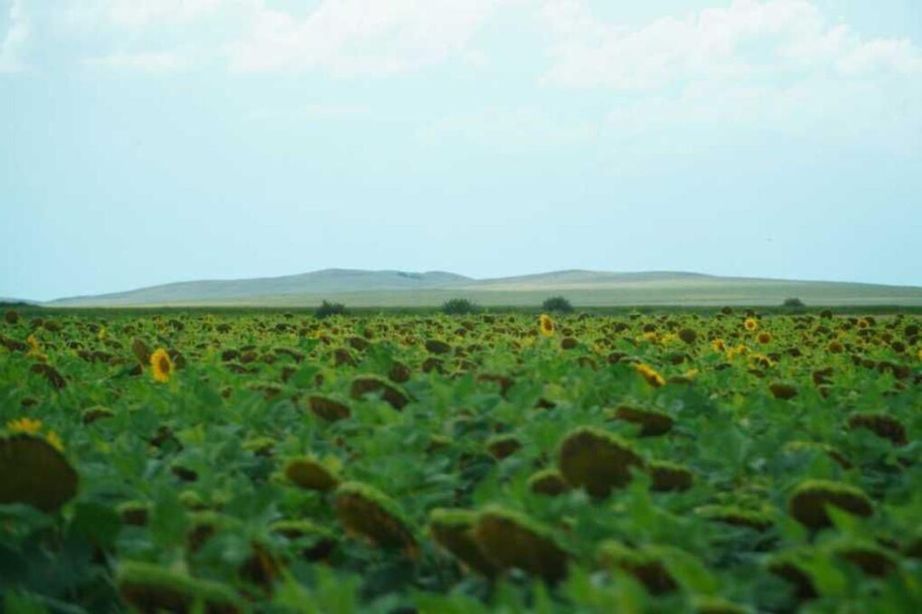 _gluster_2025_8_22_6edc04dcf806a8edb28352997d4396ed_1280x720