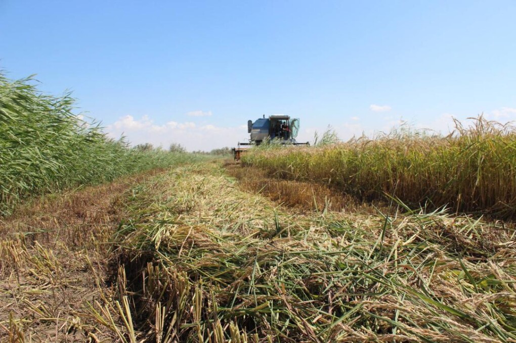 _gluster_2025_8_25_dc77d8b454c821d962b2e199b7a1546a_1280x720