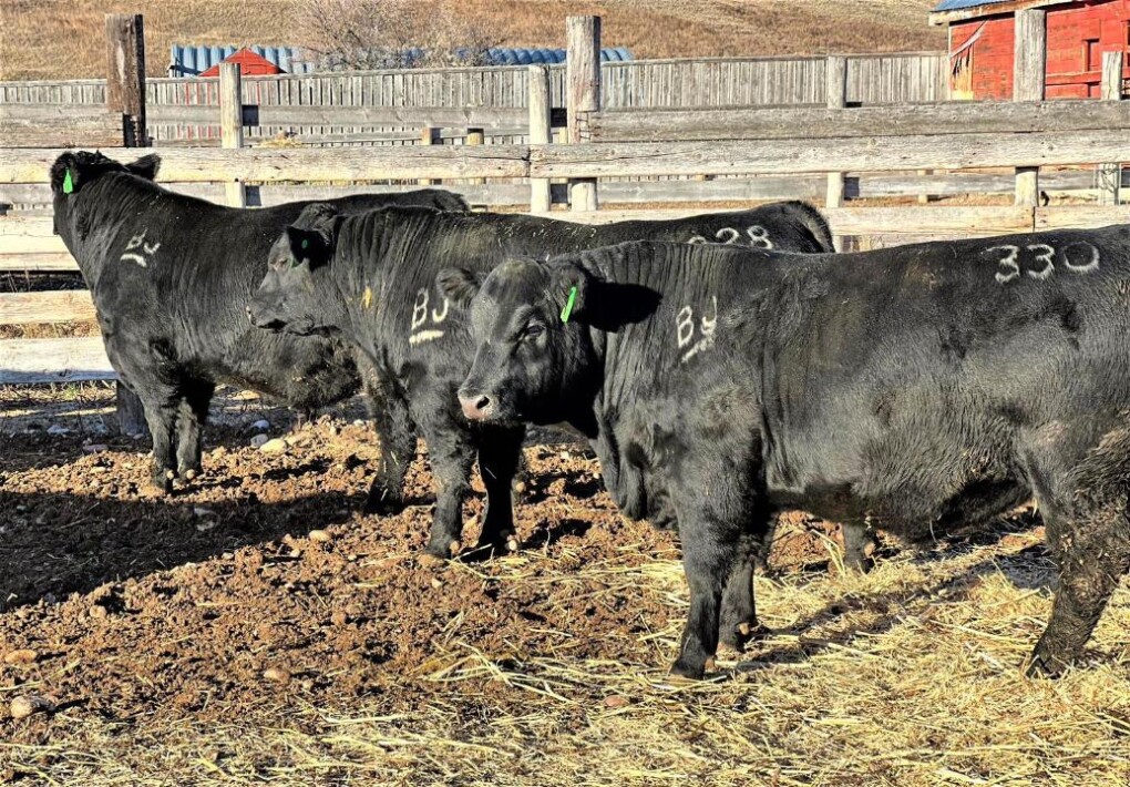 _gluster_2025_8_27_66e3b7c353ff5119e889401f16be7c38_1280x720