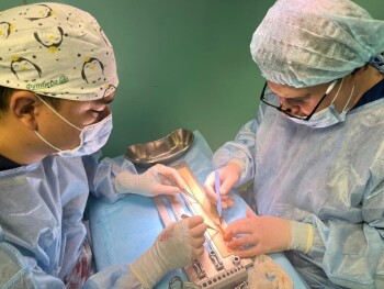 _gluster_2025_8_2_6c61cc0dc6cc234670add2633c5d4c0c_1280x720