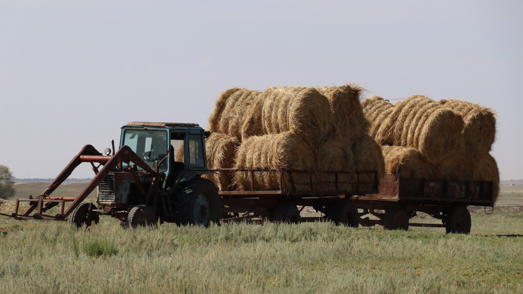 image-02-08-25-06-17-15