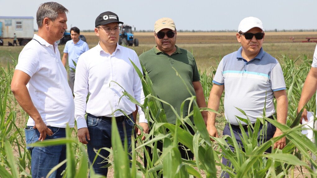 image-02-08-25-06-17-20