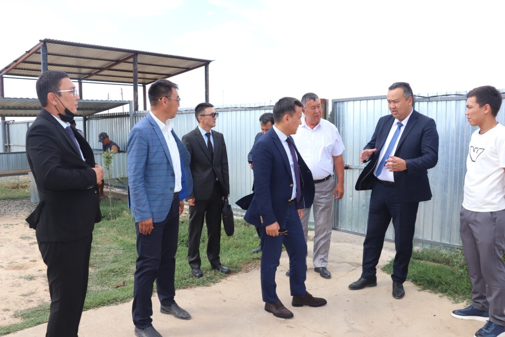 image-08-08-25-04-31