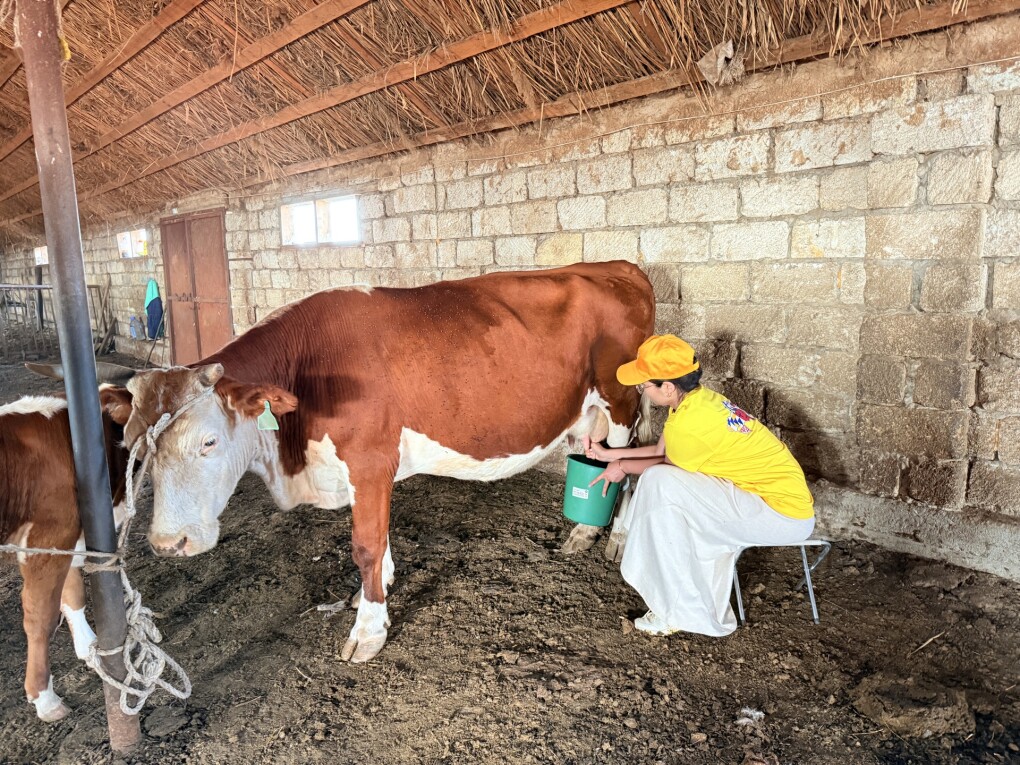 image-09-08-25-06-21-2