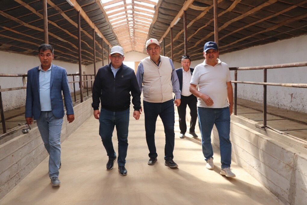 image-14-08-25-07-54-2