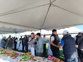 image-20-08-25-06-49