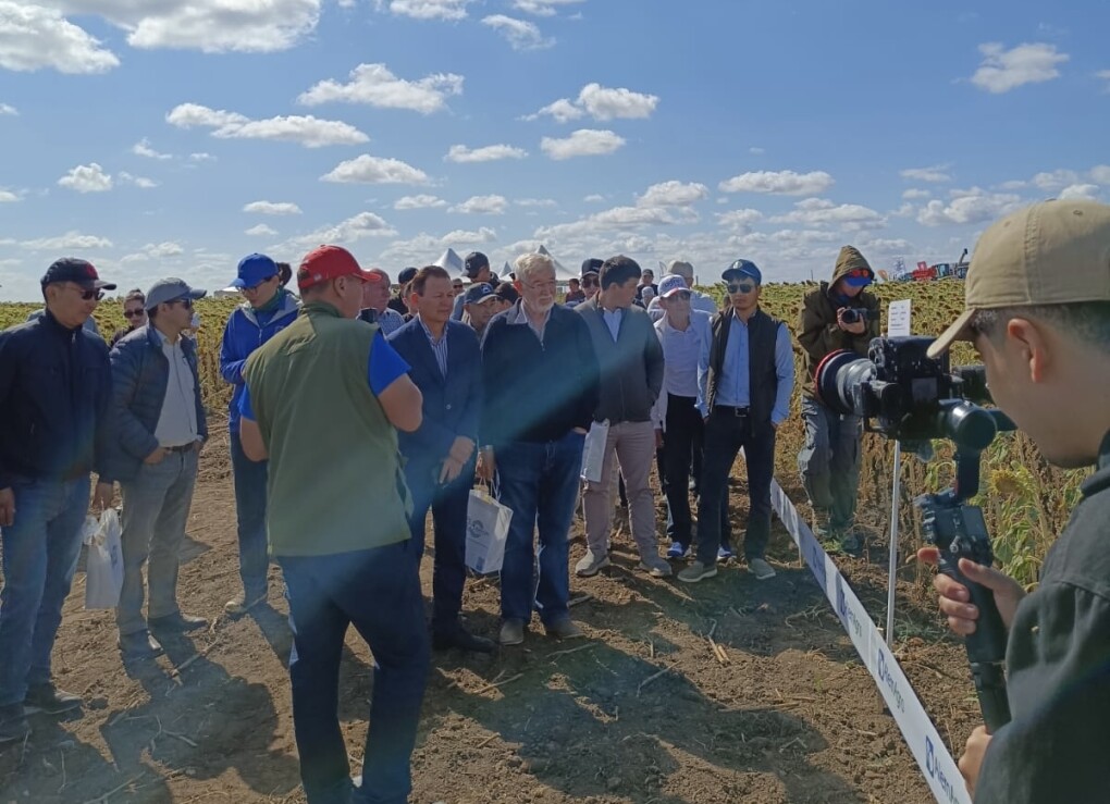 image-20-08-25-06-50