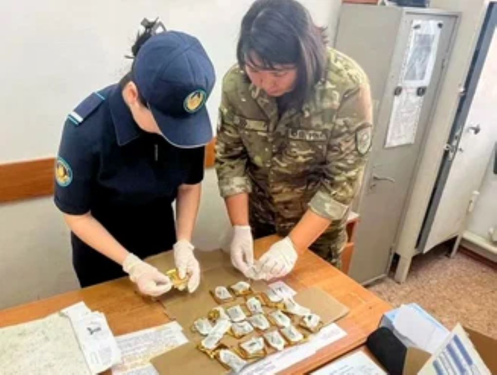 колония чай 1