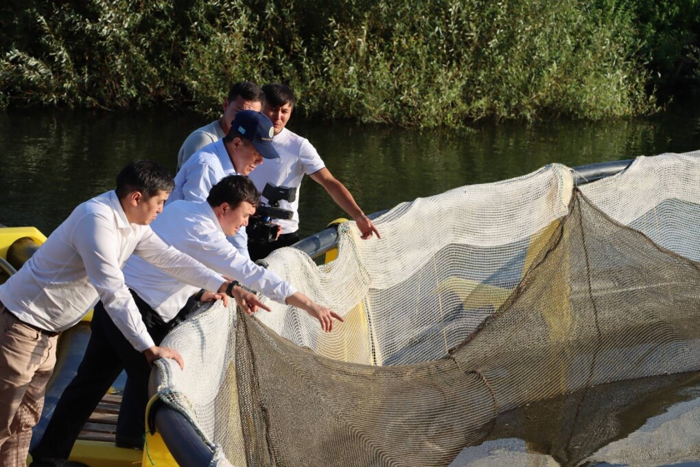 облыс әкімі 8