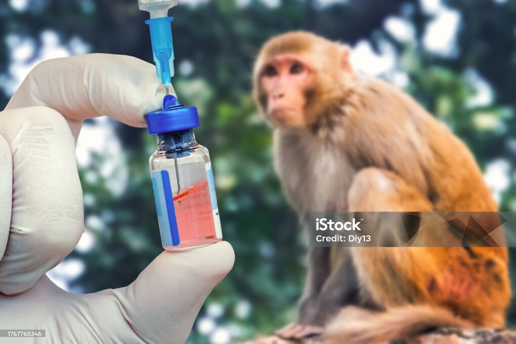 the concept of medicine and veterinary medicine. The vaccine against monkey pox. Medicine for animals.