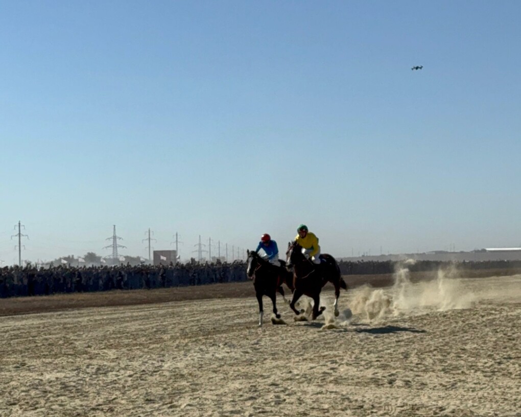 Егорьевск және Шатура, Воскресенск қалаларындағы тәуелсіз жезөкшелердің нақты профильдері.