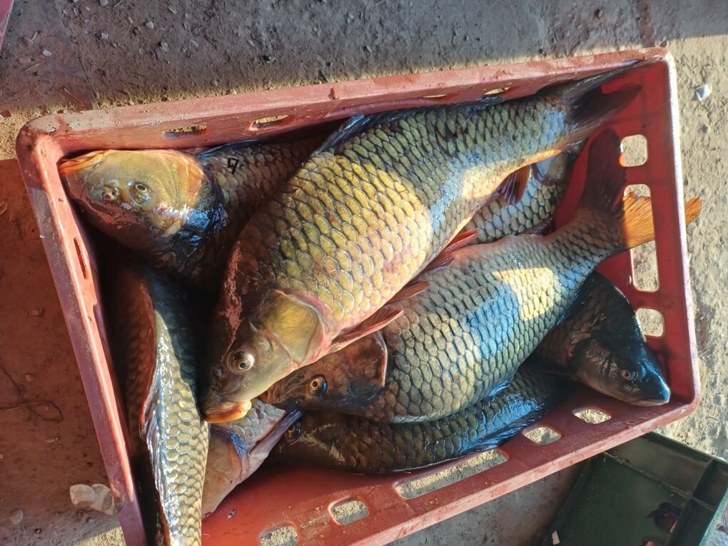 783cc3bb-616e-4fad-b260-7f6b3defbbd1