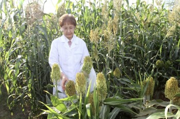 89242B01-0526-4056-9254-21C7574A6E68-e1677729285112