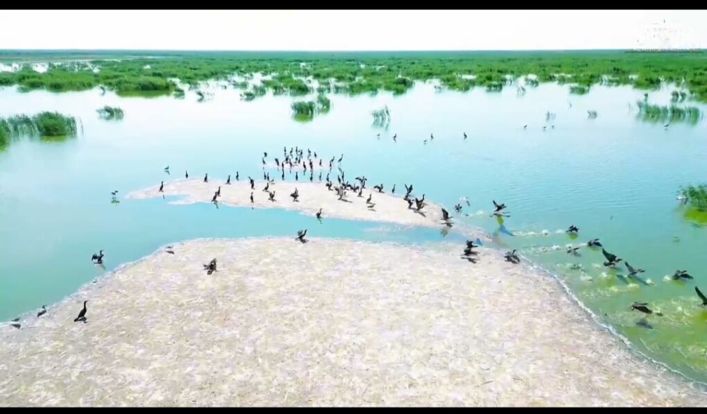 Қамыс-Самар Құрғаған үміттің қайта жануы (1)