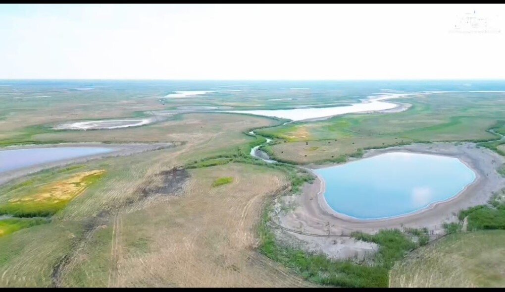 Қасқыр қынап бойтұмары